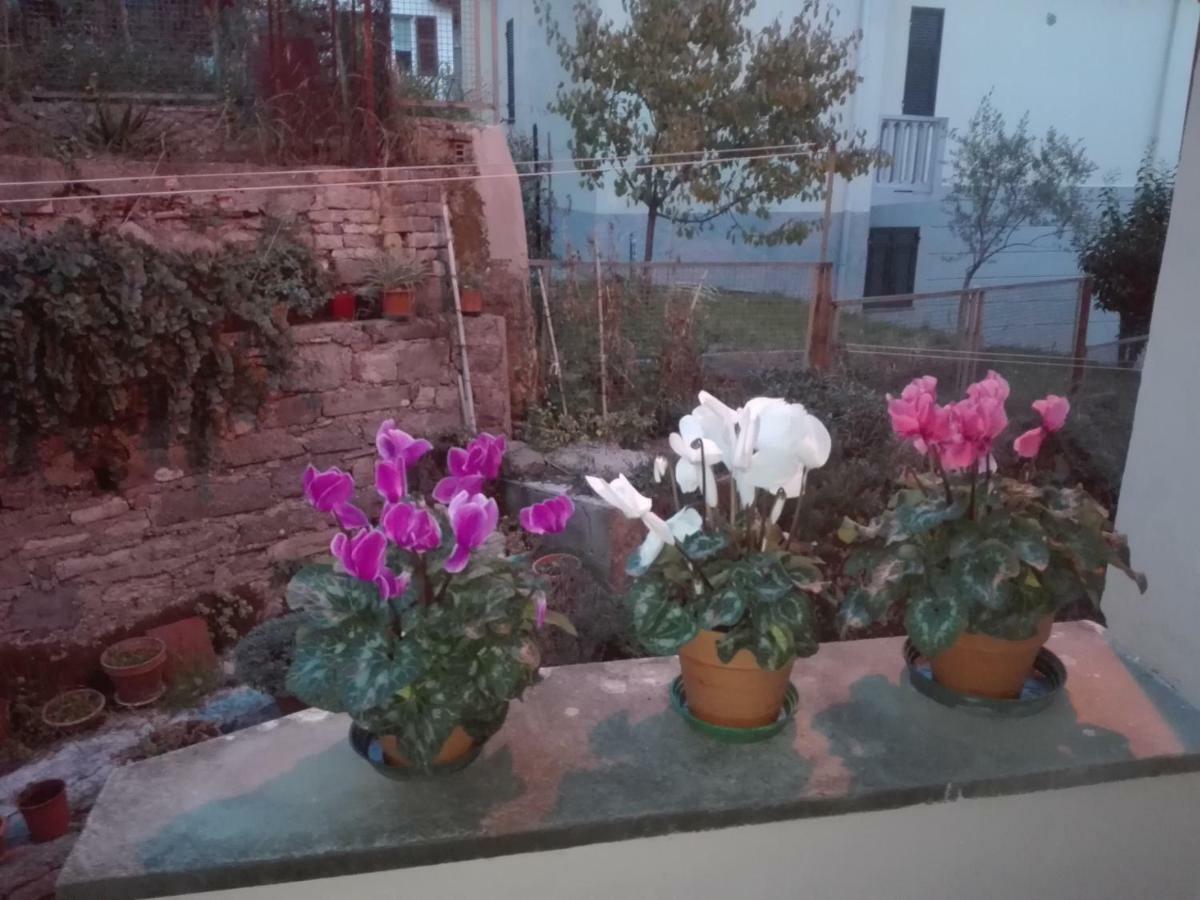 Il Borgo Antico Apartment La Spezia Bagian luar foto